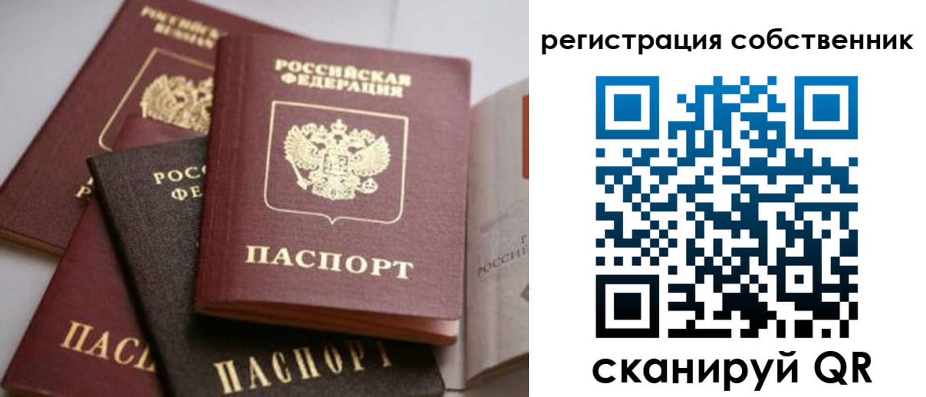 временная регистрация поиск в Немане